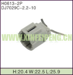 XFP-H0613-2P