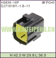 XFP-H2839